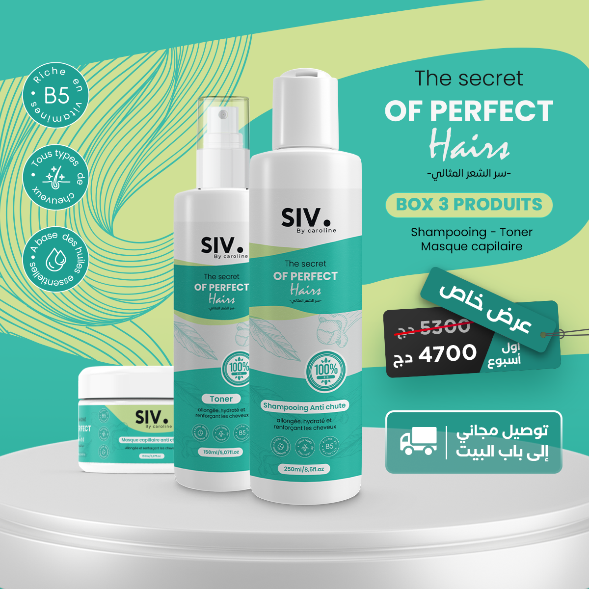 Box Secret Of Perfect Hairs Siv By Caroline 8064